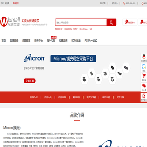 Micron(镁光)